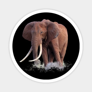 Red Elephant with big tusks Magnet